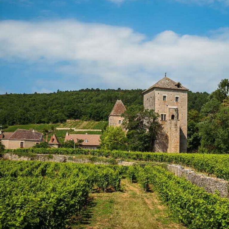 chateau-gevrey.jpg
